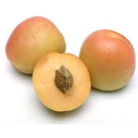 Image of Organic Apricots