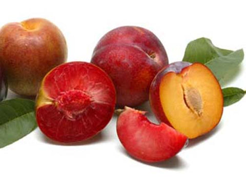 Image of plums