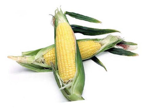 Image of Organic Corn