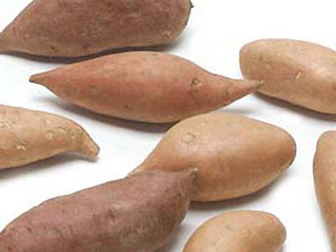 Image of Organic Baby Yams