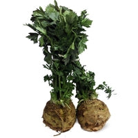 Image of Celery Root