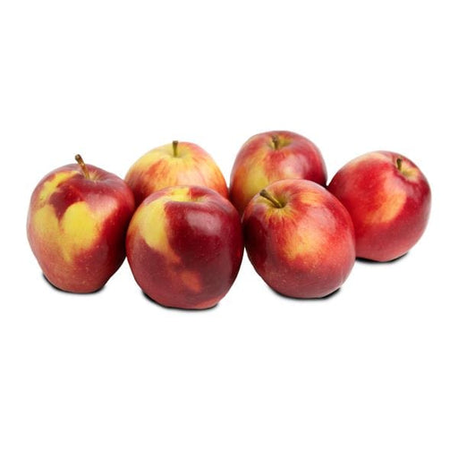 https://cdn.shopify.com/s/files/1/0336/7167/5948/files/4-pounds-image-of-modi-apples-fruit-35700224163884_512x512.jpg?v=1700240141