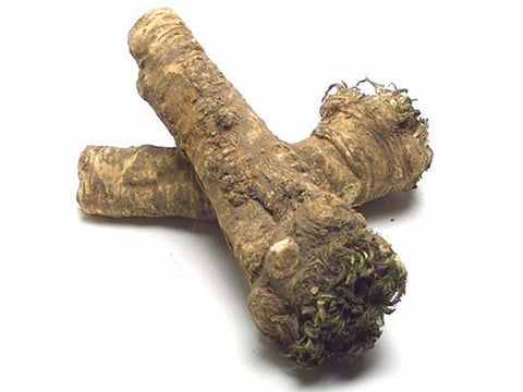Image of Horseradish Root