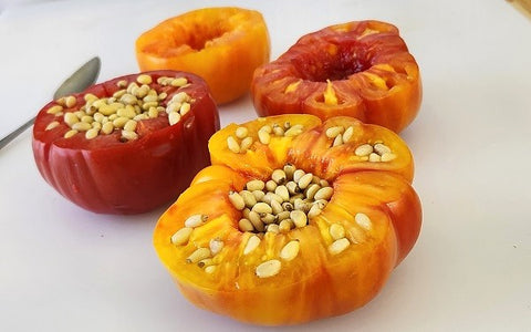 Image of stuffed tomatoes