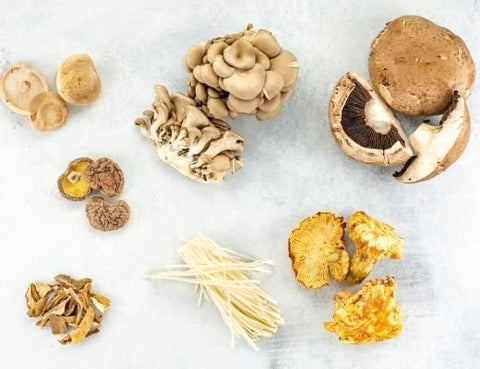 Image of various mushrooms
