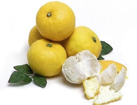 Image of Yuzu citrus
