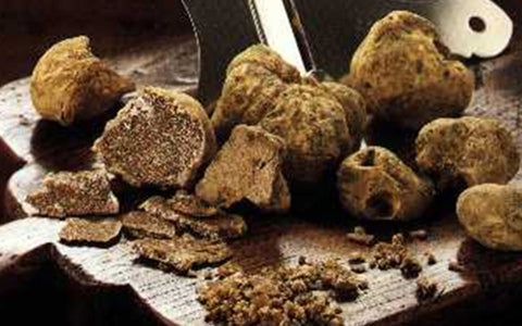 Image of Truffles