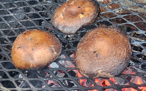 Image of grilled portobello mushrooms