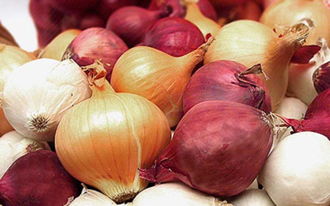 Image of Boiler Onions