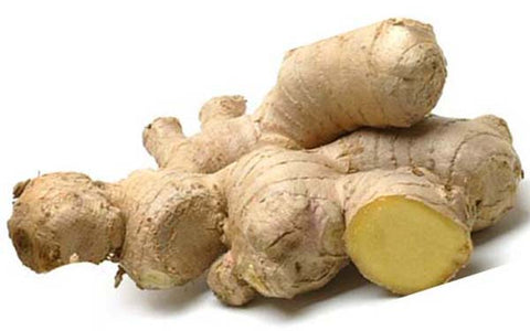 Image of Fresh Ginger Root