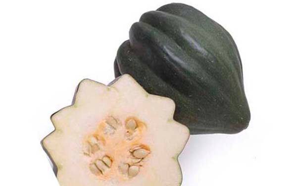 Acorn Squash