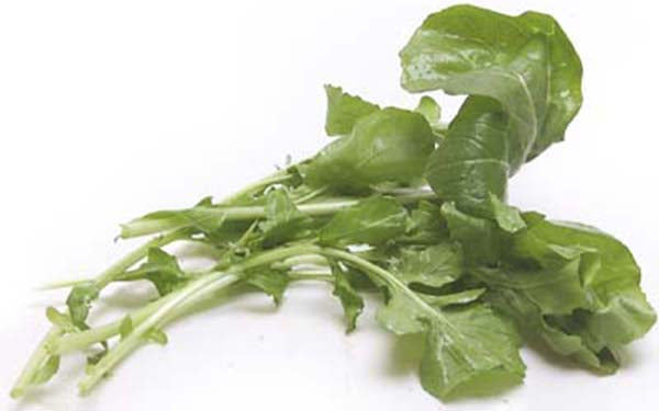 Arugula 