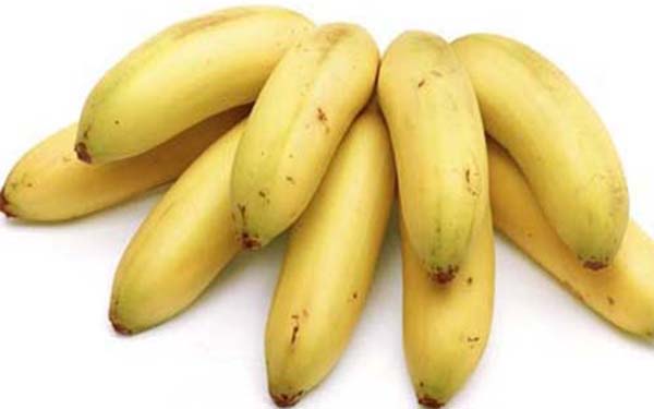Baby Bananas