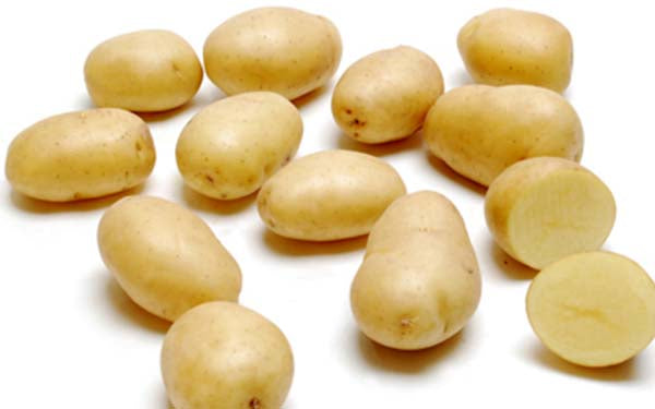 Baby Dutch Yellow Potatoes