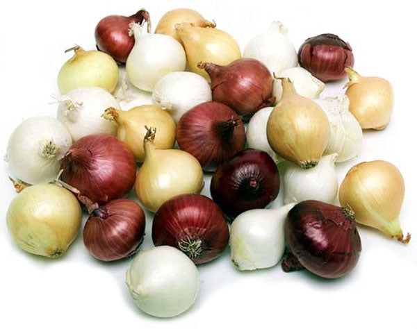Boiler Onions