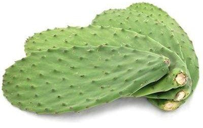 Image of Cactus Leaves (Nopales)