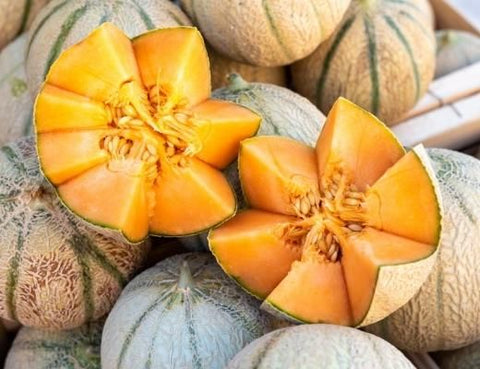 Image of Charentais Melon