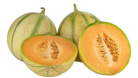 Image of Charentais Melon