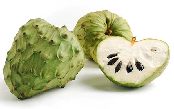 Cherimoya