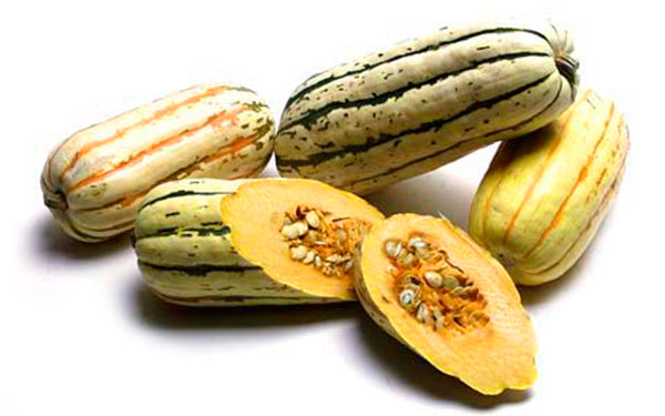 Delicata Squash