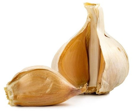 Image of Elephant Garlic