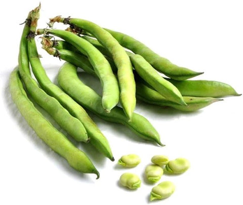 Image of Fresh Fava Beans