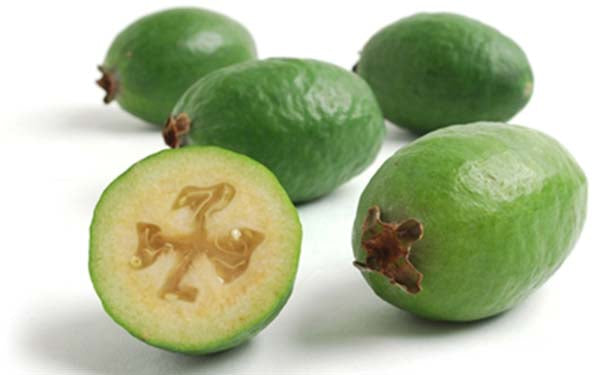 Feijoas