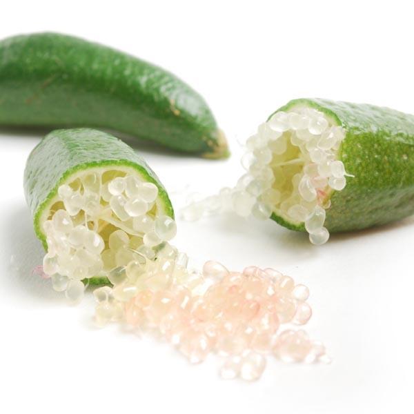 Image of Finger Limes