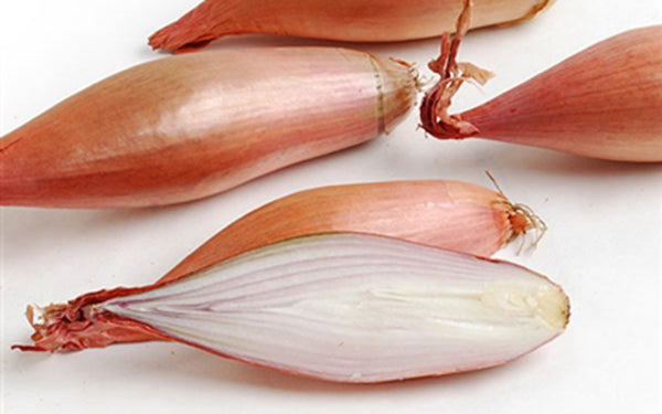 French Echalion Shallots