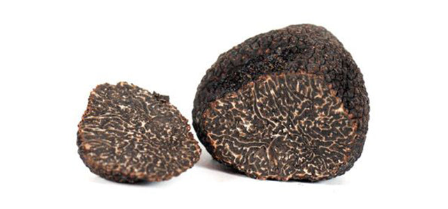 French Perigord Truffle_Image