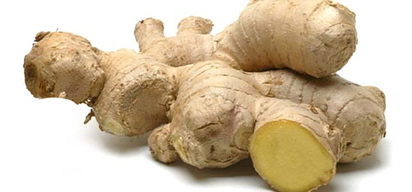 Image of Ginger