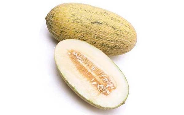 Hammi Melons