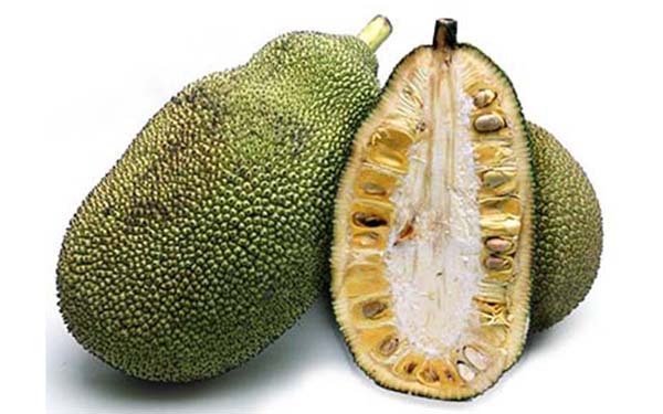 Image of Jackfruit