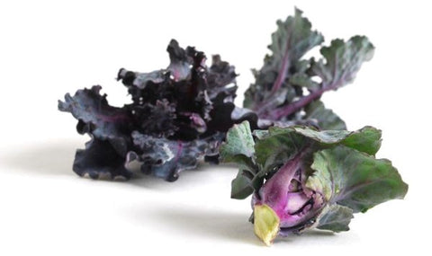 Image of Kale Sprouts