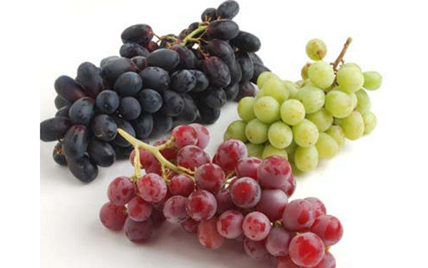 Muscatos Grapes
