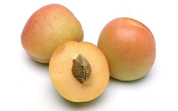 Image of Organic Apricots