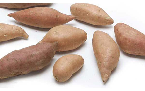 Organic Baby Garnet Yams (Sweet Potato)