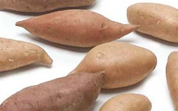 Organic Baby Yams (Sweet Potato)