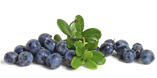 Organic Blueberries