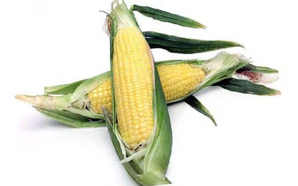 Organic Corn