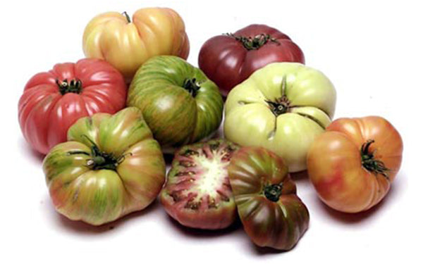 Organic Heirloom Tomatoes