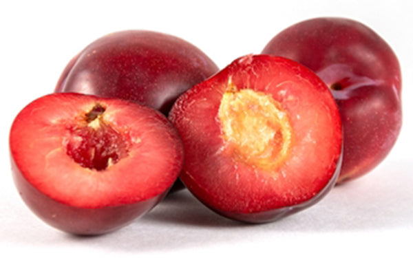 Organic Plum Bites