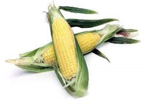 Image of organic corn