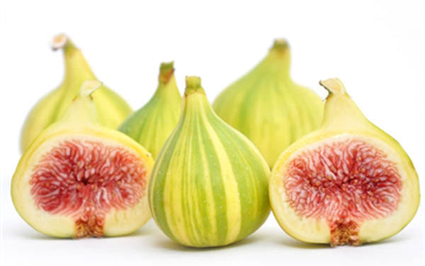 Tiger Stripe Figs