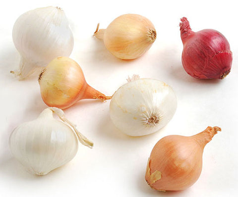 Image of pearl onions