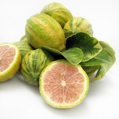 Image of Pink Lemons
