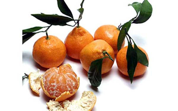 Satsuma Tangerines