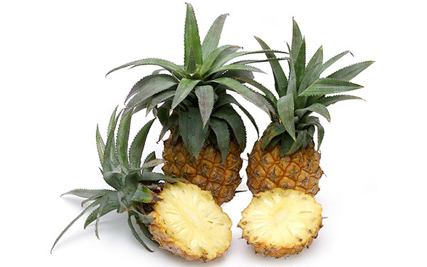 South African Baby Pineapples