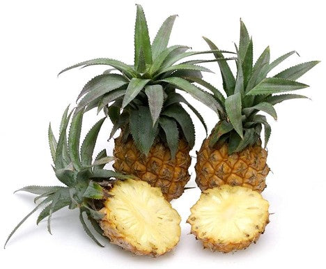 Image of South Africa Baby Pineapple