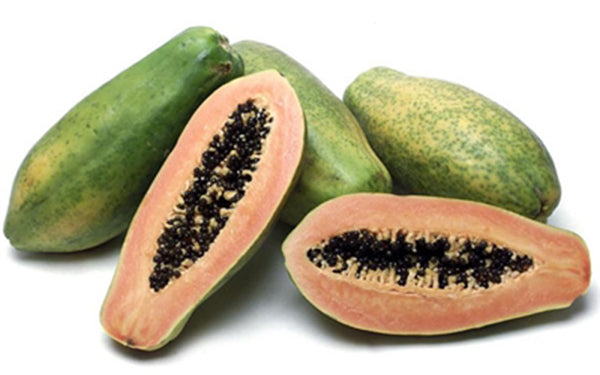 Tai Nung Papaya